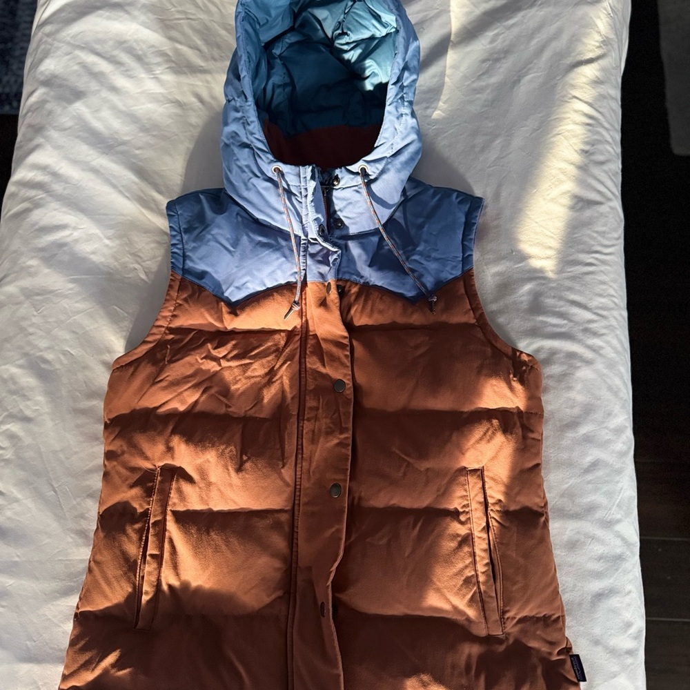 Patagonia Camel and Blue Patterned Vest